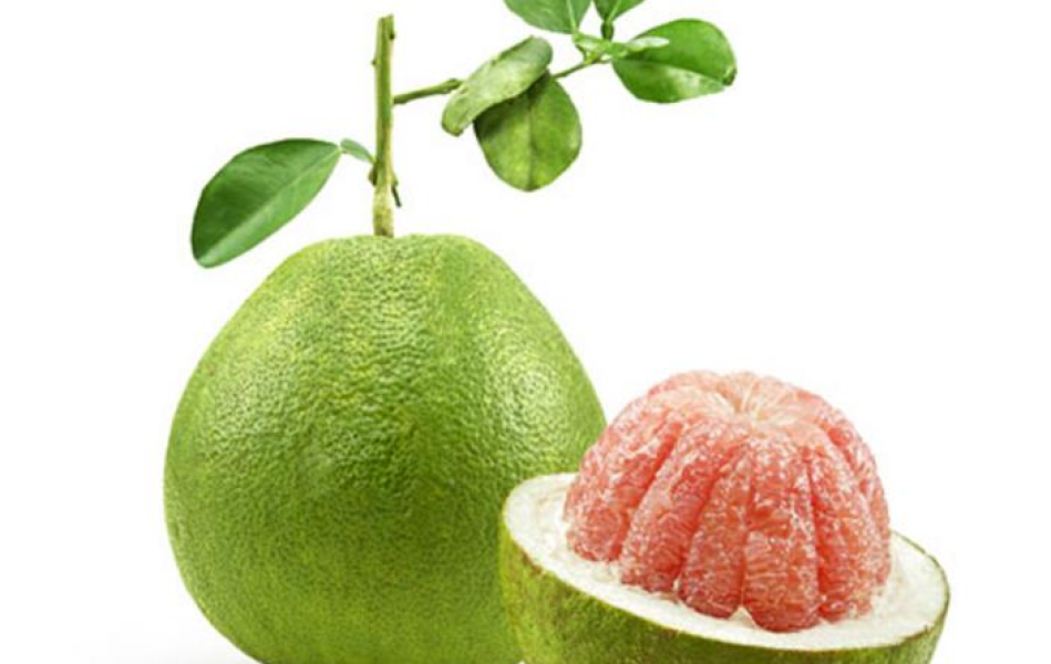 BƯỞI DA XANH