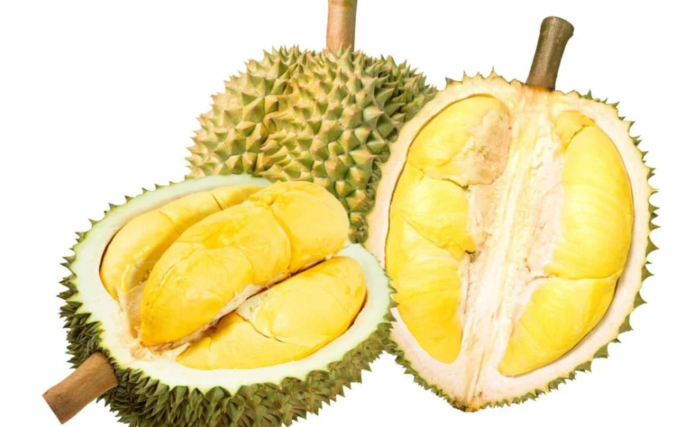 SẦU RIÊNG