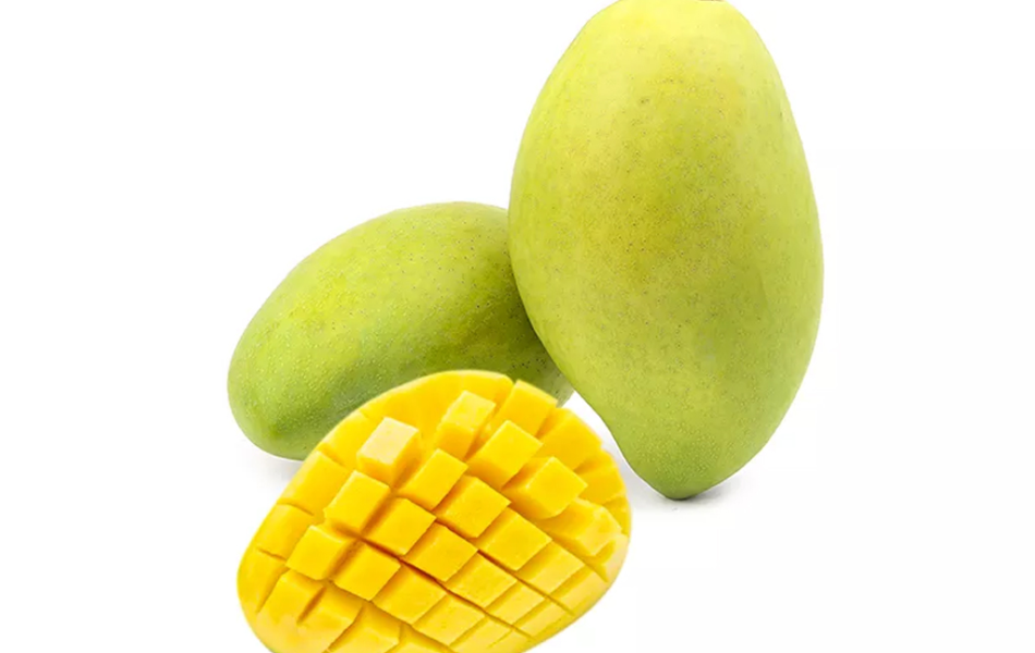 XOÀI TƯỢNG ĐÀI LOAN