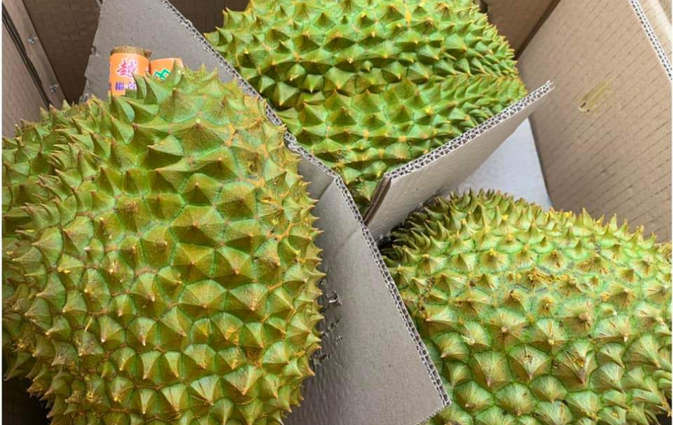 SẦU RIÊNG