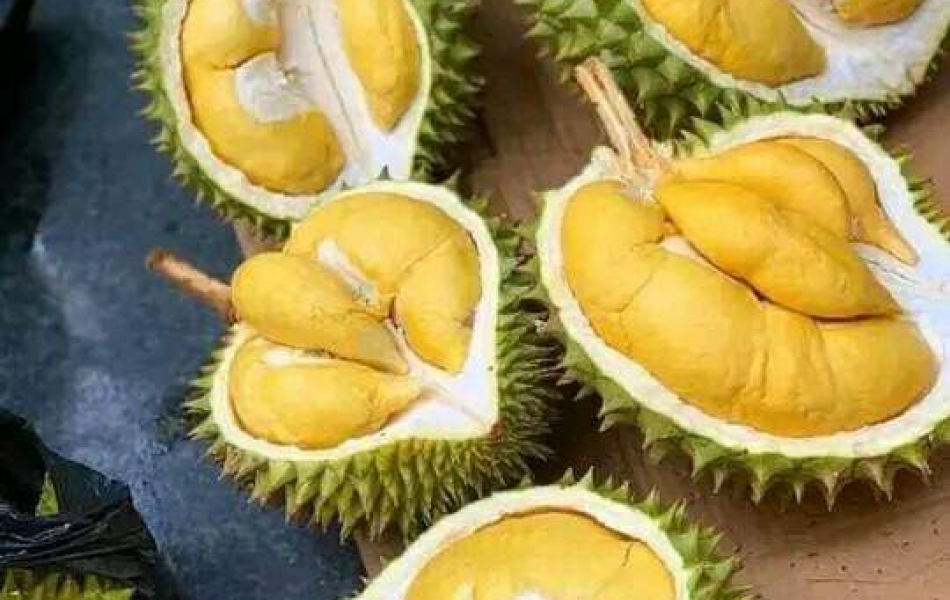 SẦU RIÊNG