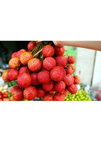VẢI