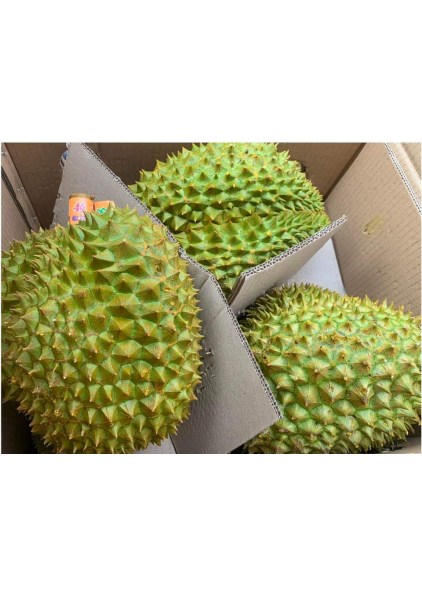 SẦU RIÊNG