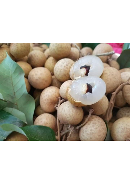 NHÃN